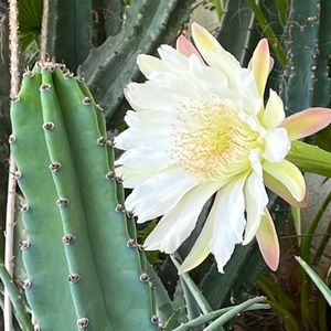 Meet your Posher, Eilynn